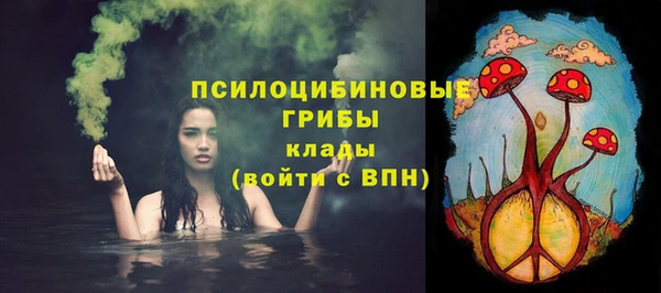 стафф Сосновоборск
