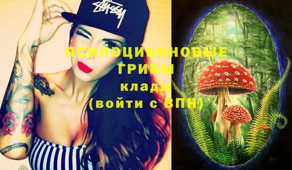 молекула духа Сосновый Бор