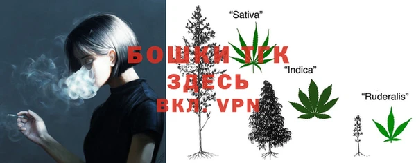 молекула духа Сосновый Бор