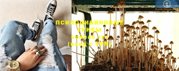 молекула духа Сосновый Бор