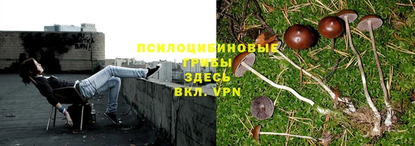 марки lsd Сосновка