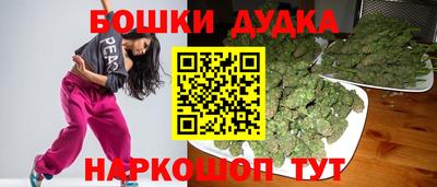 стафф Лесосибирск