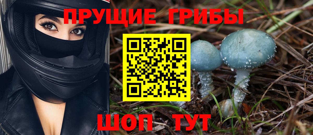 Галлюциногенные грибы мухоморы Тавда