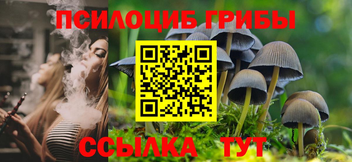 Псилоцибиновые грибы Magic Shrooms  Псилоцибиновые грибы ЛСД  Тавда 
