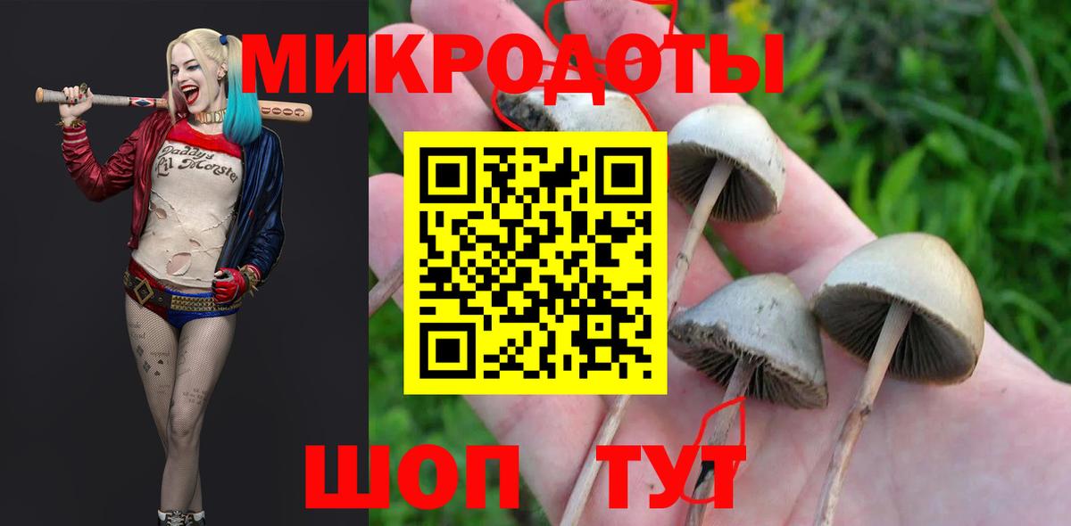 Псилоцибиновые грибы Psilocybine cubensis Тавда