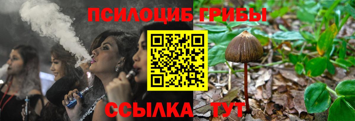 купить наркотики сайты  Галлюциногенные грибы MAGIC MUSHROOMS  Галлюциногенные грибы GOLDEN TEACHER  Вход с VPN  Тавда 